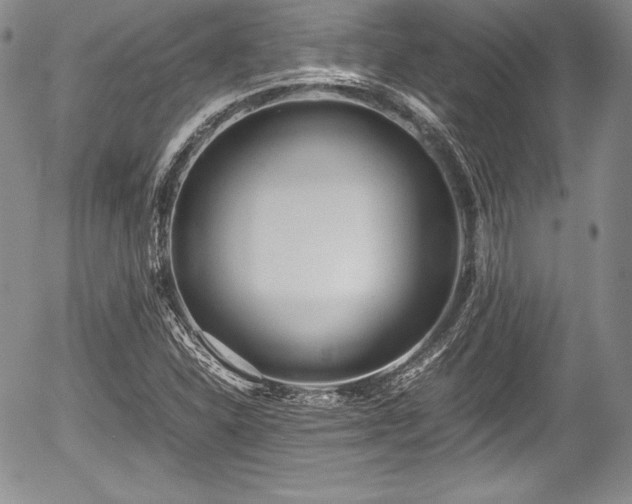 X0000054371310200508011210