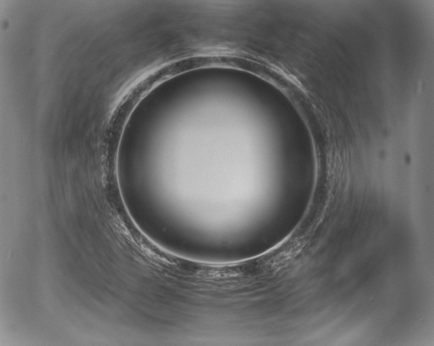 X0000054371311200508011210