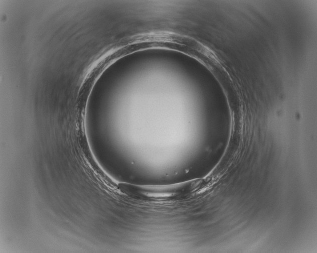 X0000054371312200508011210