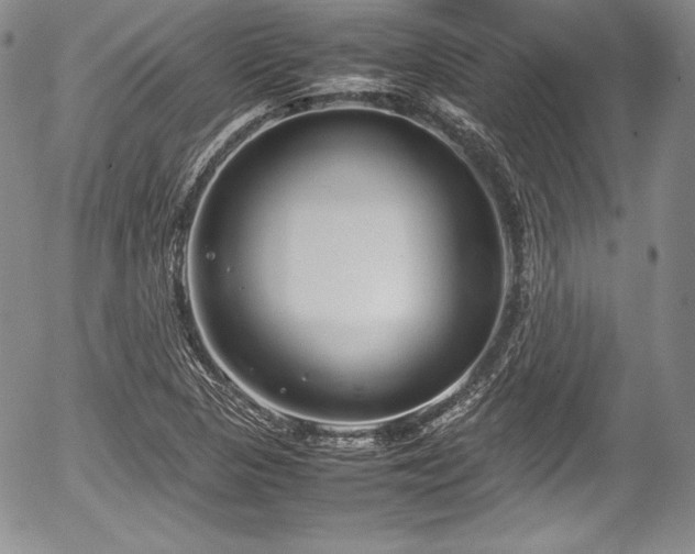 X0000054371313200508011210