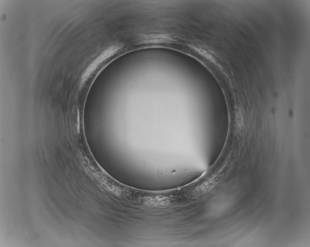 X0000054371317200508011210