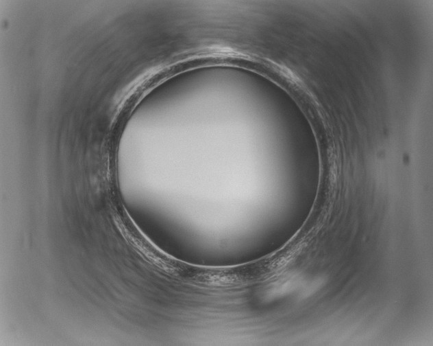 X0000054371318200508011210