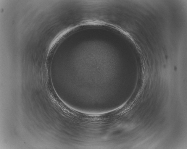 X0000054371319200508011210