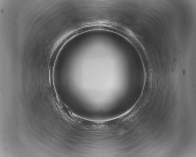 X0000054371320200508011210