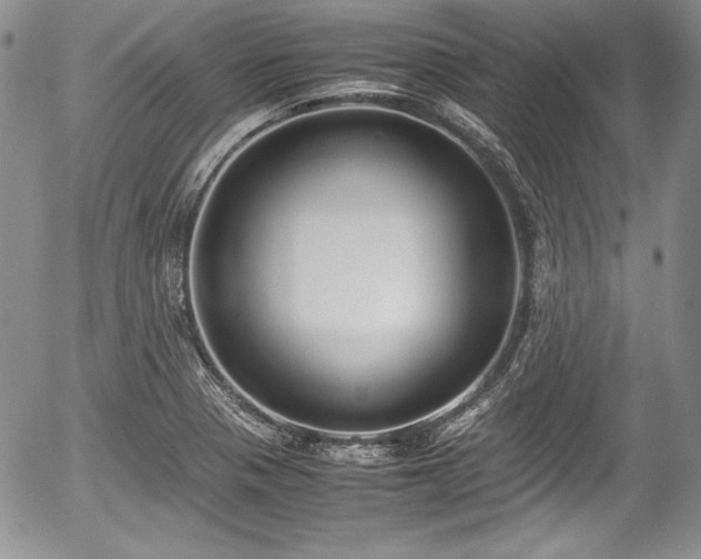 X0000054371321200508011210