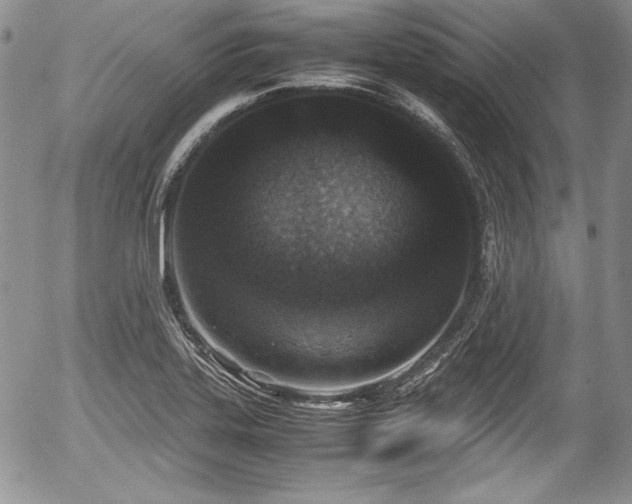 X0000054371323200508011210