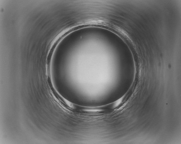 X0000054371324200508011210