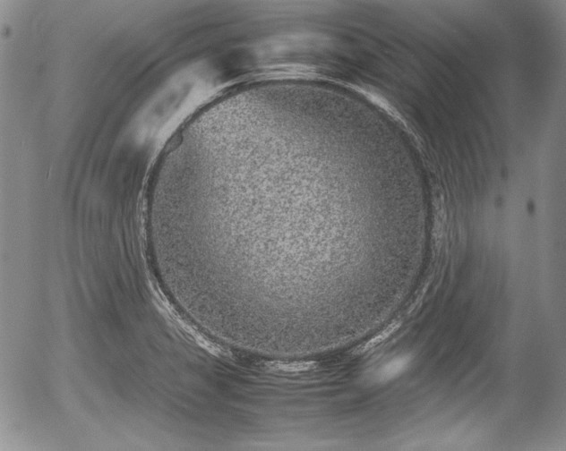 X0000054371325200508011210