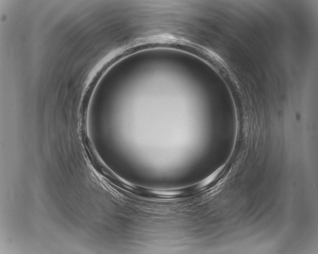 X0000054371326200508011210