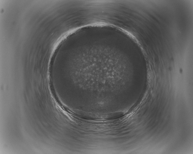 X0000054371327200508011210