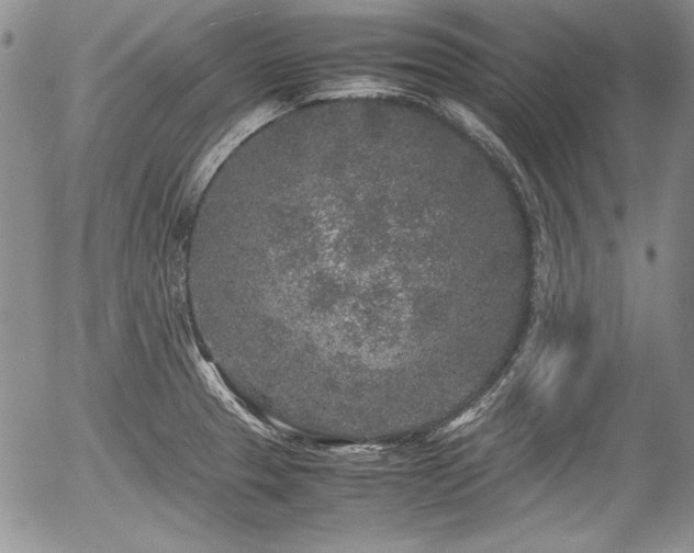 X0000054371329200508011210