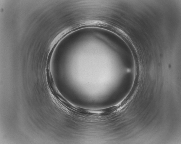 X0000054371330200508011210