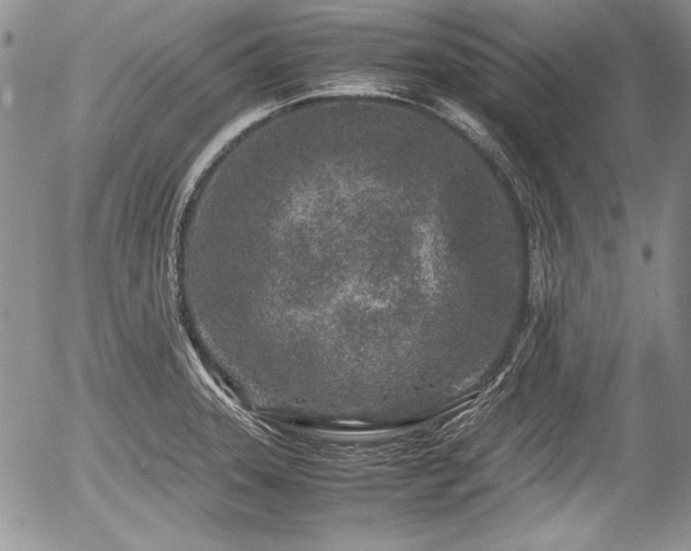 X0000054371331200508011210