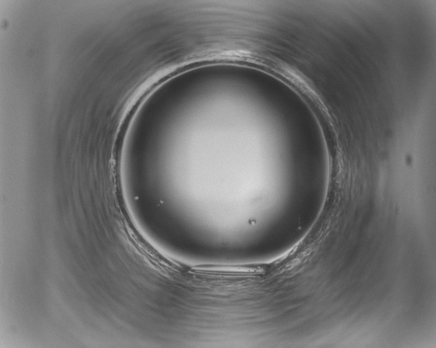 X0000054371332200508011210