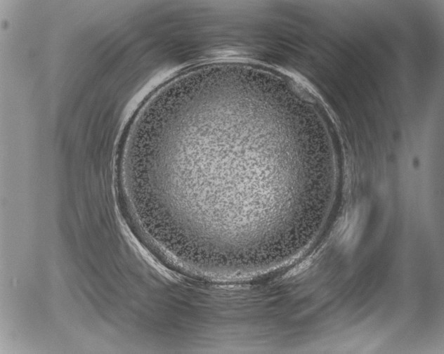 X0000054371333200508011210