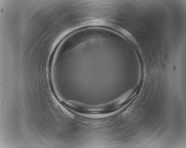 X0000054371334200508011210