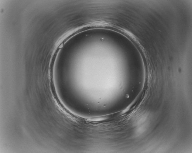 X0000054371335200508011210