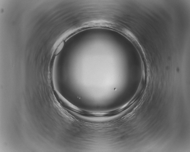 X0000054371336200508011210