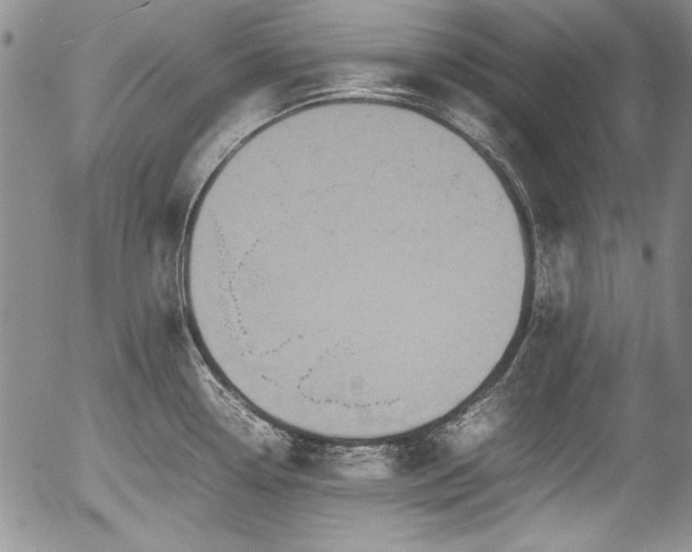 X0000054371338200508011210