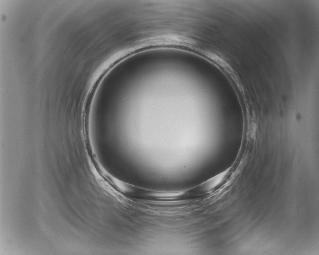 X0000054371342200508011210