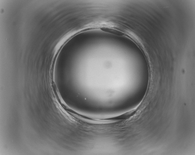 X0000054371344200508011210