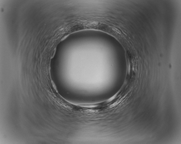 X0000054371345200508011210