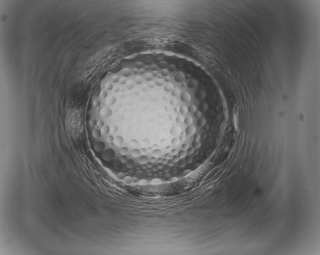 X0000054371347200508011210