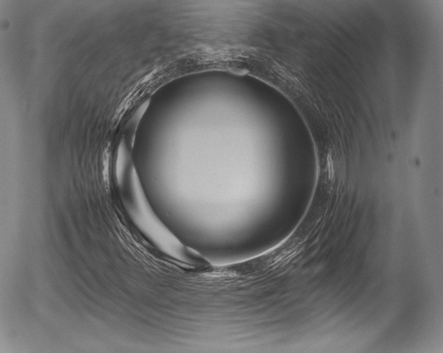 X0000054371348200508011210