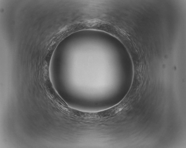 X0000054371349200508011209