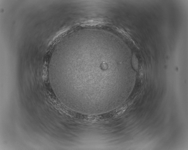 X0000054371350200508011209