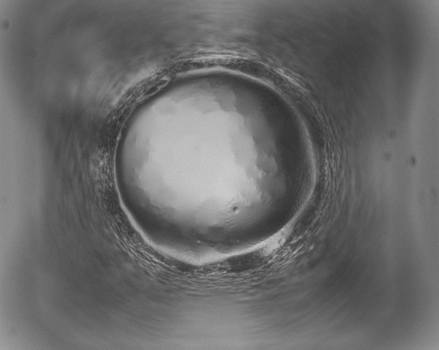 X0000054371351200508011209