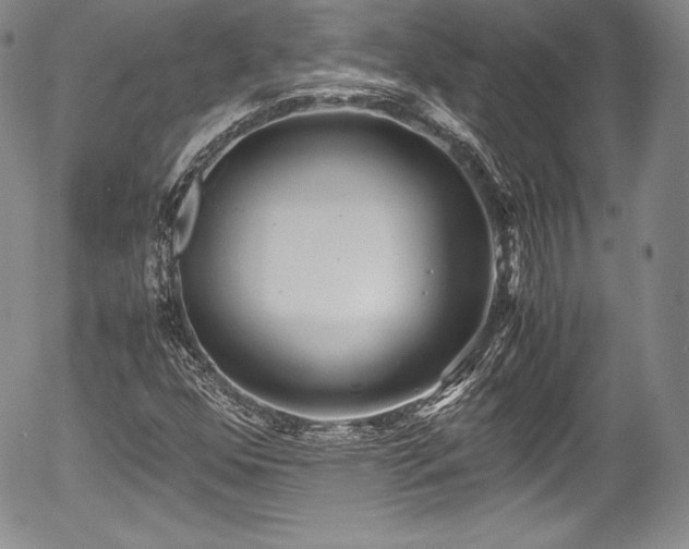 X0000054371352200508011209