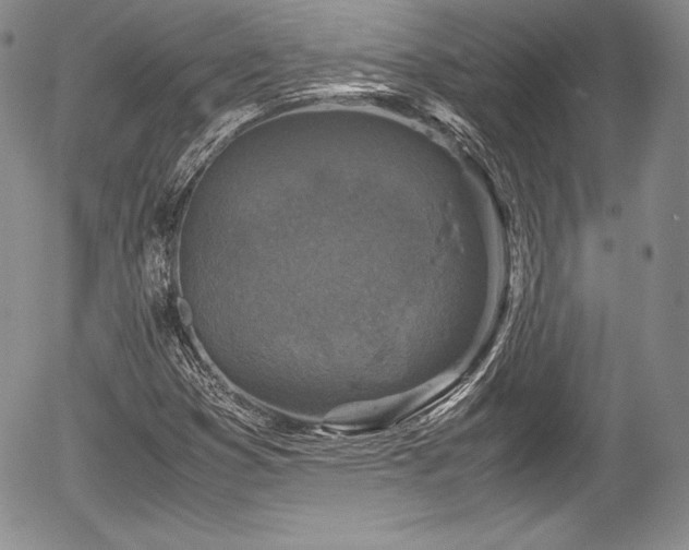 X0000054371353200508011209