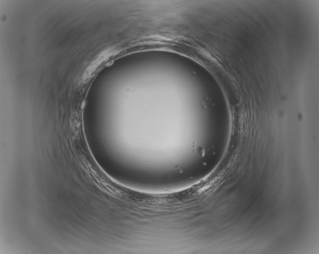 X0000054371355200508011209