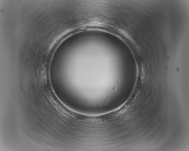 X0000054371356200508011209