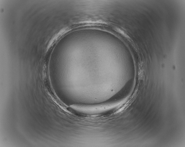 X0000054371357200508011209