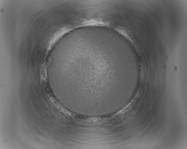 X0000054371358200508011209