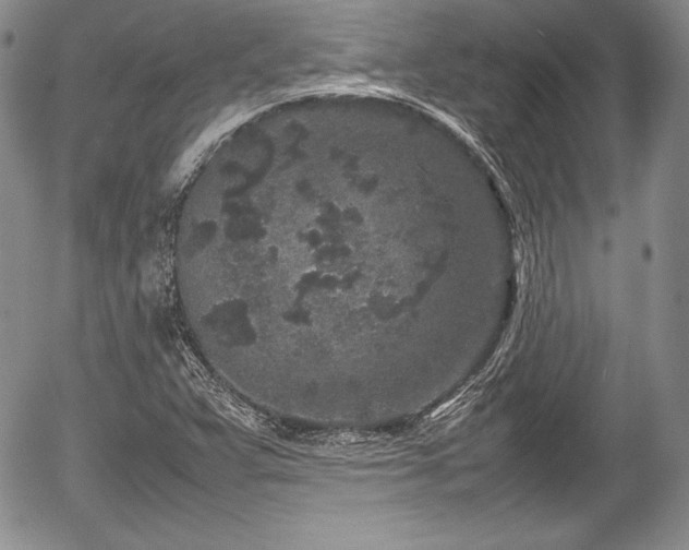 X0000054371359200508011209