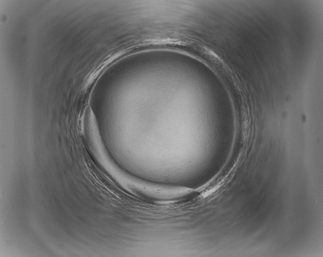 X0000054371361200508011209