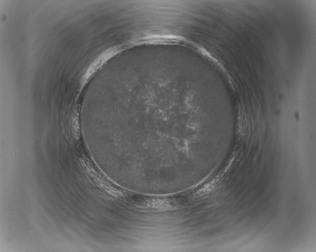 X0000054371362200508011209