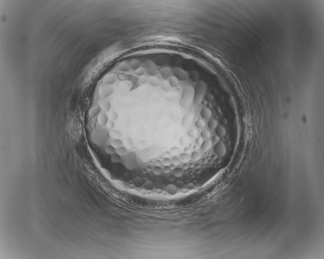 X0000054371363200508011209