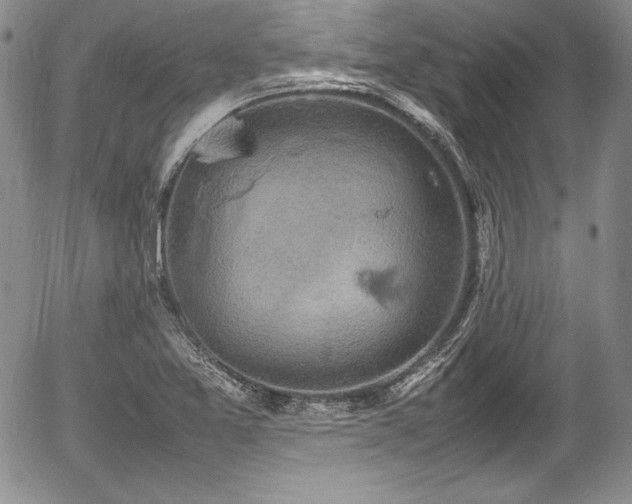 X0000054371365200508011209