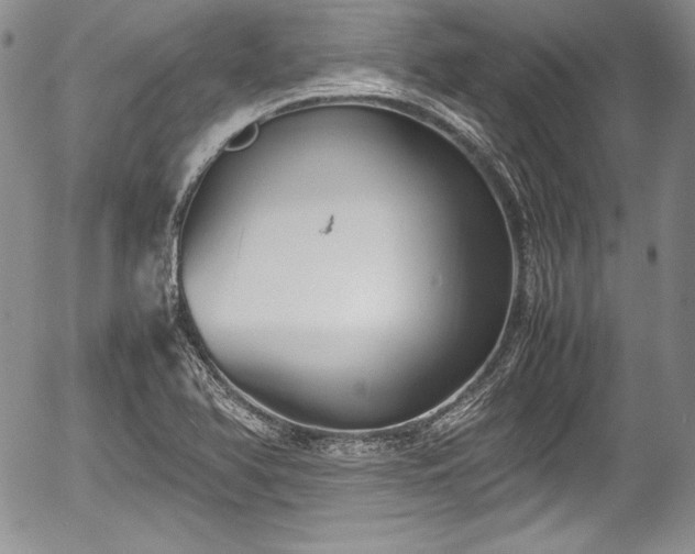 X0000054371366200508011209