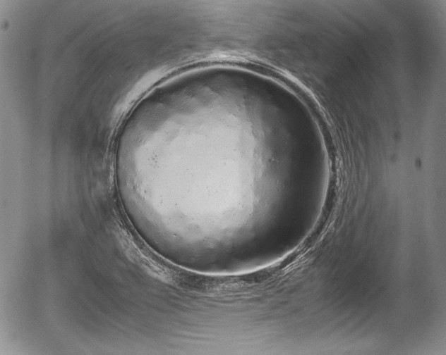 X0000054371367200508011209