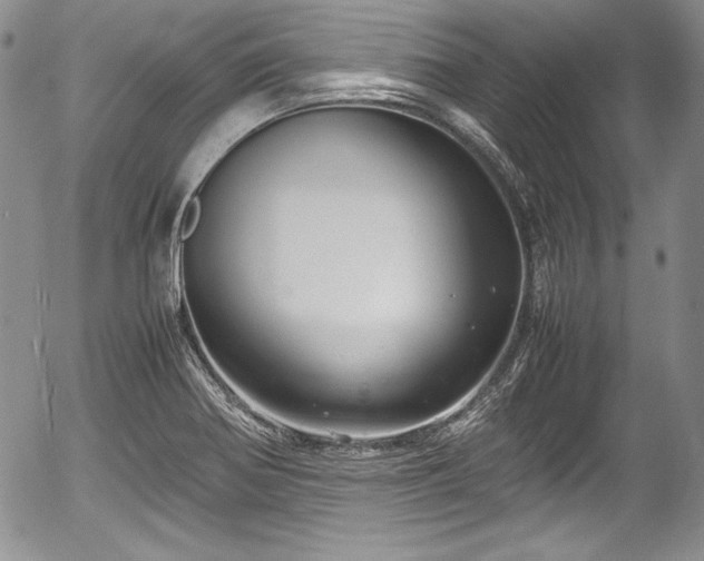 X0000054371370200508011209