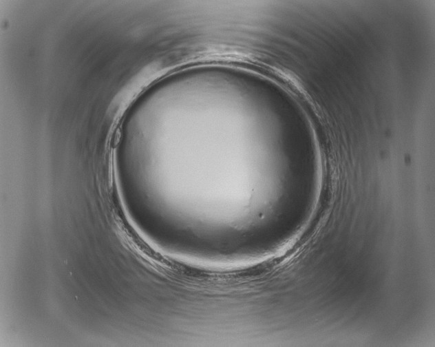 X0000054371371200508011209