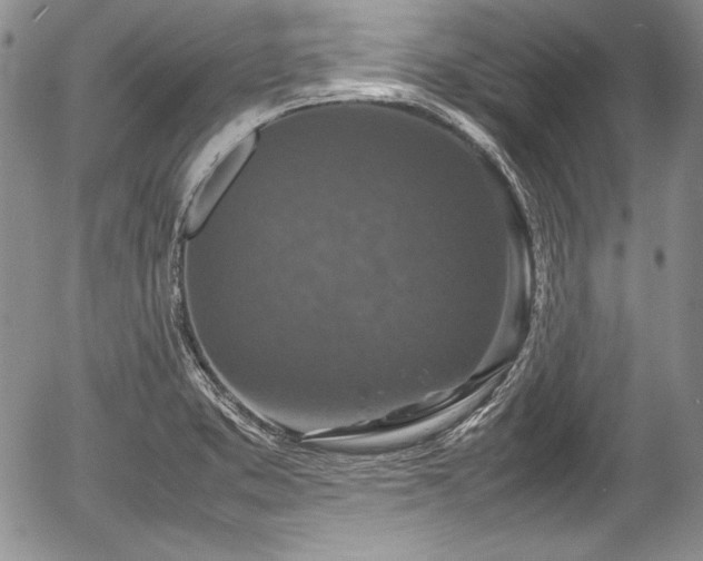 X0000054371373200508011209