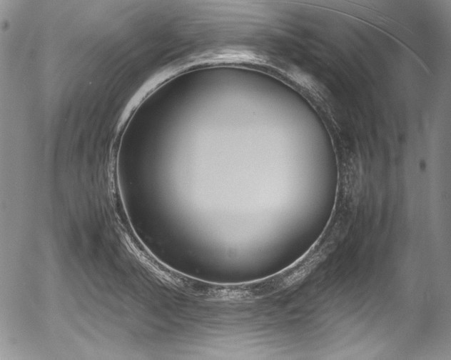 X0000054371374200508011209