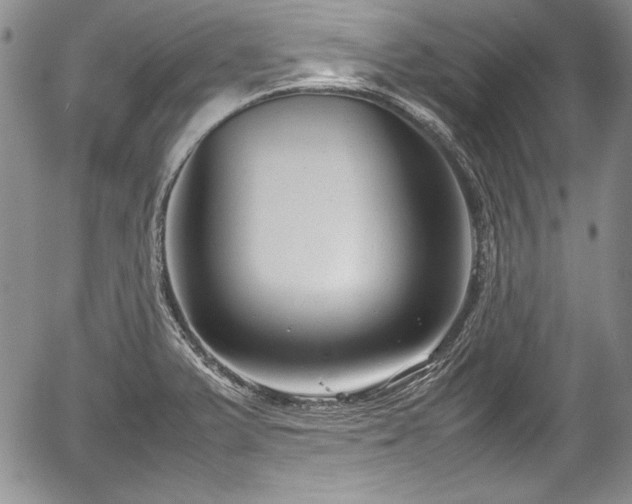 X0000054371375200508011209