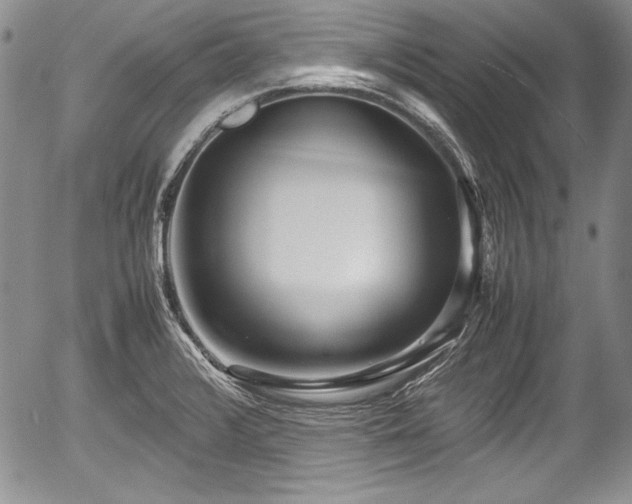 X0000054371376200508011209